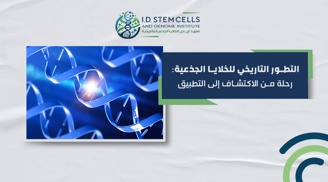 التطور التاريخي للخلايا الجذعية: رحلة من الاكتشاف إلى التطبيق